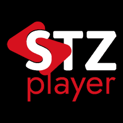 PlayActiX logo featuring gaming interface and dynamic design elements.